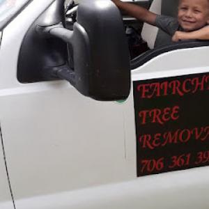 Fairchild Tree Removal