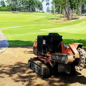 Dozier stump grinding