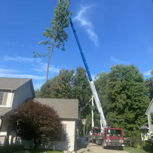 Nick's Tree Service & Nicks Hardscape