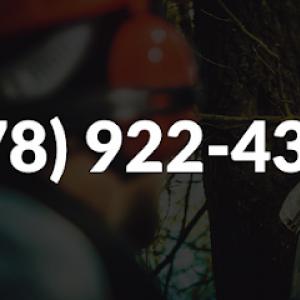 All In Tree Service of Lithia Springs