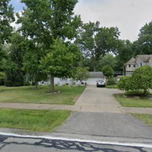 1st Response Tree Service & Landscape