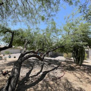 Ag Landscape & Tree Services