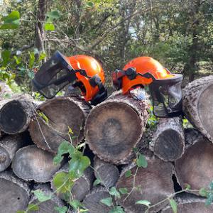 Limb N' Leaf Tree Services