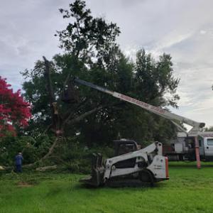 Preferred Tree Healthcare