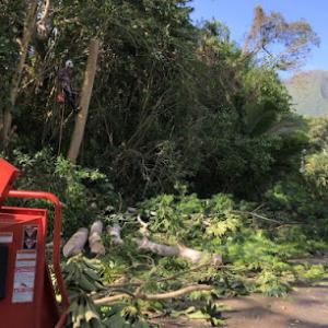 Malama Tree Care