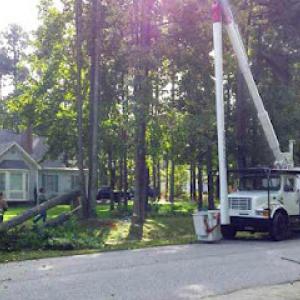Tree Service Syracuse