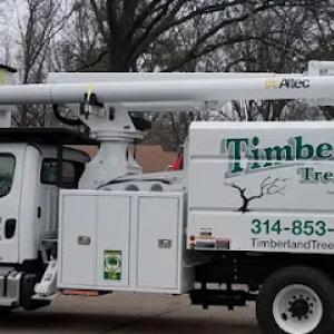 Timberland Tree Service