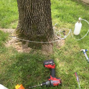 Diamond Edge Outdoor Management