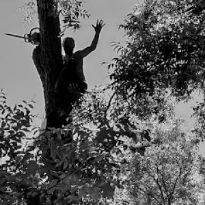 Under the sun tree service & landscaping