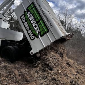 Ramos Tree Services