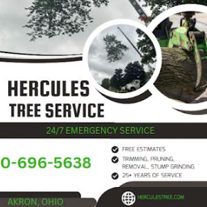 Hercules Tree Service