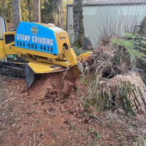 Five Star Stump Grinding