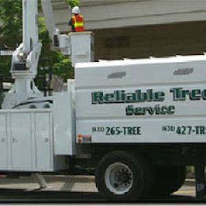 Reliable Tree Service
