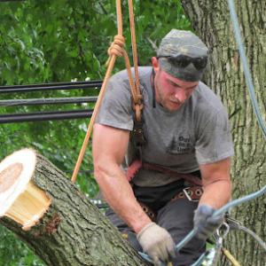 Out On a Limb Tree Care