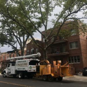 Greenleaf Tree Care