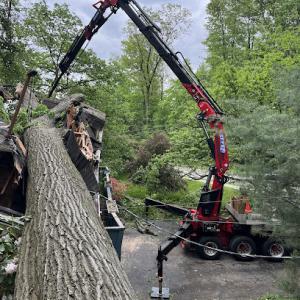 Jeff's Tree Removal