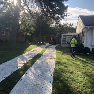 K&W Tree Service & Nursery