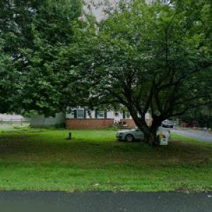 Diamond State Tree Experts