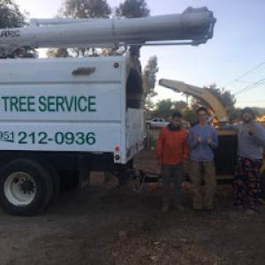 Kens tree Service