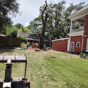 The Compadres Landscaping