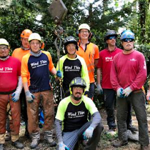 Wind Thin Tree Service