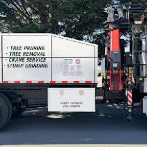 Evergreen Tree Services