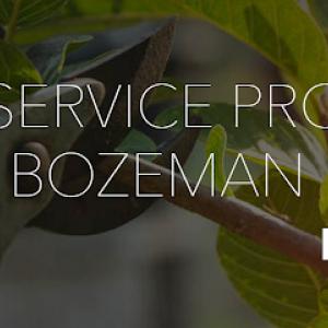 Tree Service Pros of Bozeman