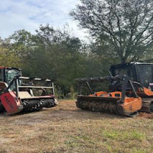 Timber Ridge Clearing