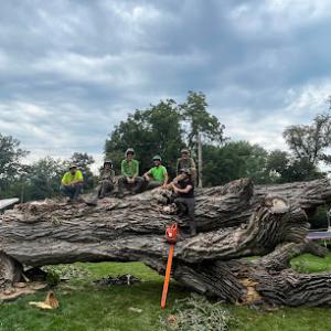 Atrium Tree Service - Omaha Arborist + Tree Trimming