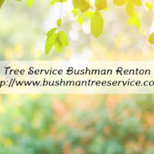 Tree Service Bushman Renton - Tree Trimming Service, Affordable Tree Removal, Stump Grinding