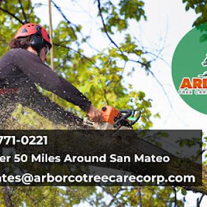 Arbor Co. Tree Care