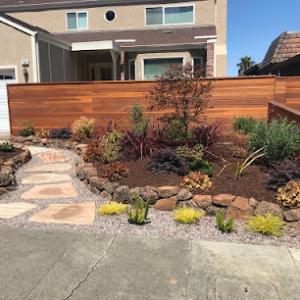 ASG Complete Landscape & Maintenance