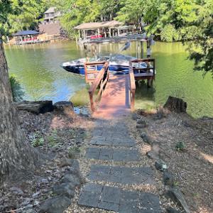 Tree Removal Specialist