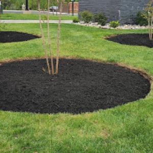 Paulino’s Landscaping servicio