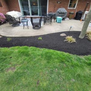 Los Primos Landscaping Services