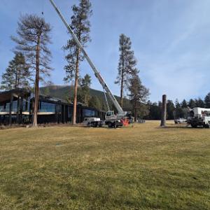 4 Brothers Tree Service