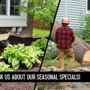 DKC Landscaping & Tree Services