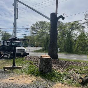 Flores Tree Service & Landscaping