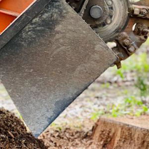 Mo’s Stump Grinding