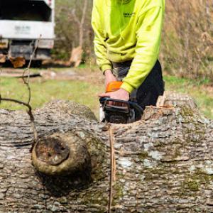 Ark-O-Mo Tree Service