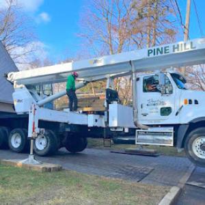 Pine Hill Tree Services