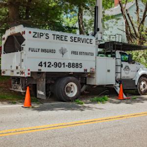 Zip's Tree Service