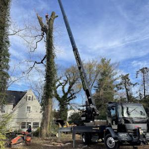 Rock Creek Tree, Turf & Landscape