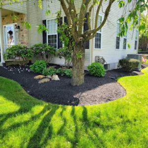 From the Ground Up Landscaping Design