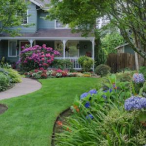 Pro Turf & Pro Pest Solutions - Davenport Lawn Care