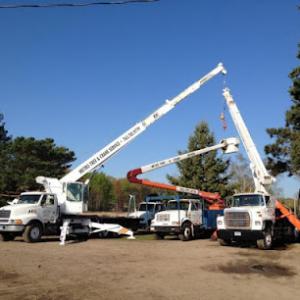 Los Angeles CA Tree Service