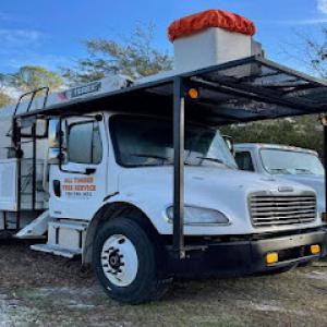 All Timber Tree Service