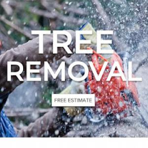 Strickland Emergency Tarping & Tree Removal