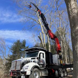 Snow’s Tree Service