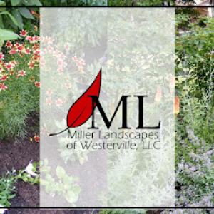 Miller Landscapes of Westerville